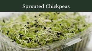 Sprouted Chickpeas